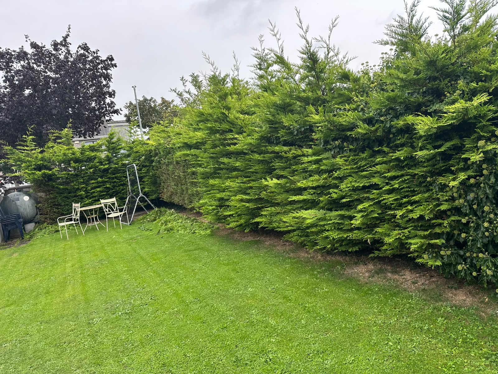 Garden project